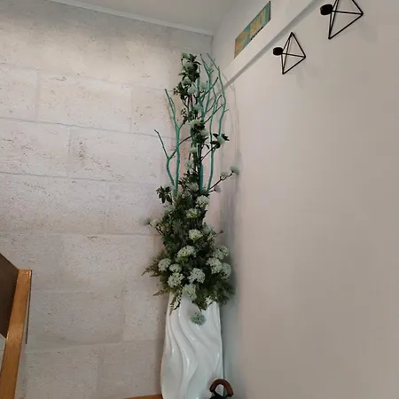 Riva בית הארחה 3*